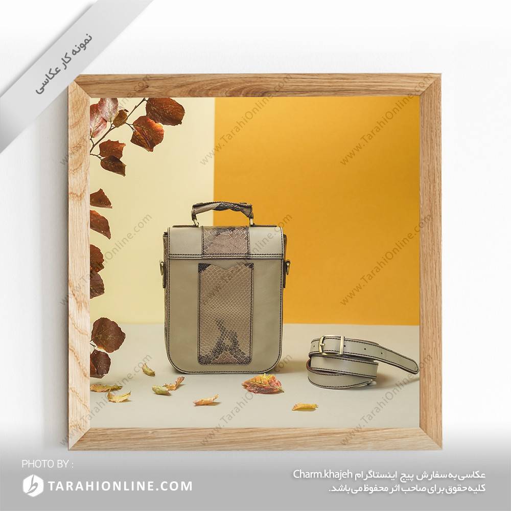 عکاسی از کیف حمایل زنانه چرمی - تصویر 3